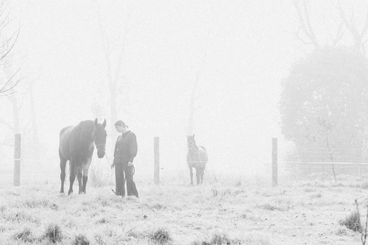 Crafted with Conviction: The World of -lismé