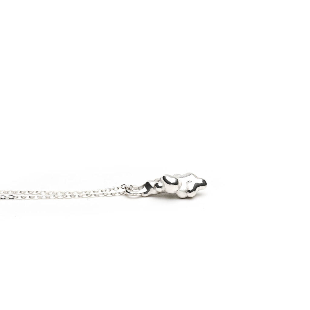 Tarebia necklace