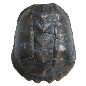 HKliving turtle shell green/brown Large.