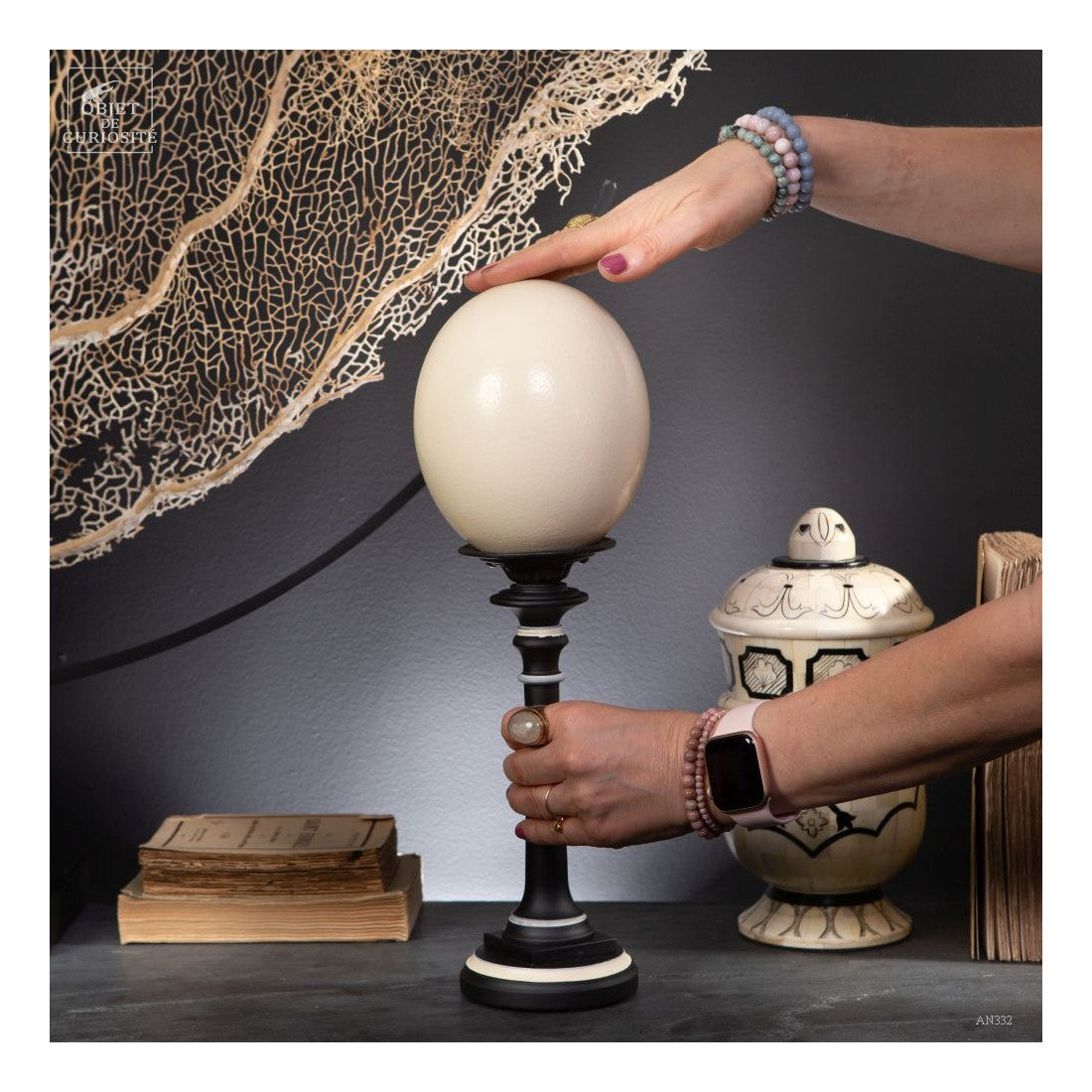 Egg of ostrich on black and ivory base